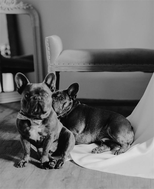 Pet portrait photography in Fethiye